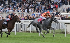 Ippica all'Ippodromo Snai San Siro mercoledì con sei corse valide per la 46^ giornata di galoppo a partire dalle ore 15.05