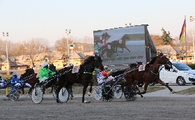 All’ippodromo di Bologna giovedì 31 ottobre otto corse e finale con TQQ 