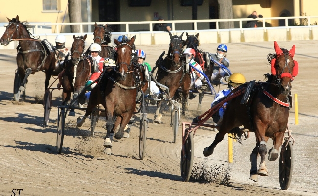 Ippica Ippodromo Arcoveggio di Bologna: domenica 3 novembre corse gentlemen e tante attività per famiglie