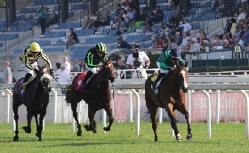 all’ippodromo snai san siro domenica di galoppo con tanta animazione ed intrattenimento per i bambini e le famiglie. corse dedicate ai donatori del sangue. al via dalle 14:20