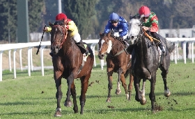 ippica La domenica di galoppo all'Ippodromo Snai San Siro dedicata ai donatori di sangue vede Lethal Spirit confermarsi nel Premio Avis Milano mentre nel Tosto Premio donatori di sangue Grey Creek la spunta al fotofinish