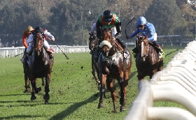 Ippica il mercoledì di galoppo all'Ippodromo Snai San Siro ospita sei corse a partire dalle ore 14:30 con in evidenza due maiden