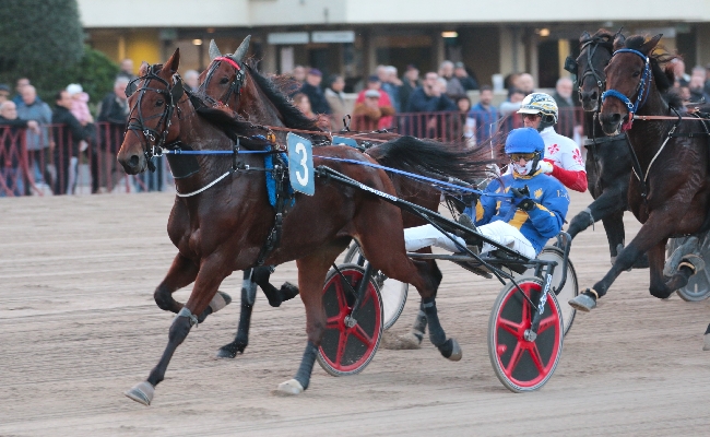 Ippodromo Arcoveggio Bologna: giovedì 7 novembre con grandi guide e velocisti nel finale TQQ 