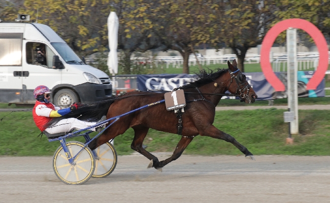 Ippica nel bel venerdì di trotto all'Ippodromo Snai San Siro il “Trofeo Luigi Canzi” va allo svedese Ultion Face e in sediolo all'allievo Andrea Ferrara