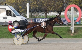 Ippica nel bel venerdì di trotto all'Ippodromo Snai San Siro il “Trofeo Luigi Canzi” va allo svedese Ultion Face e in sediolo all'allievo Andrea Ferrara