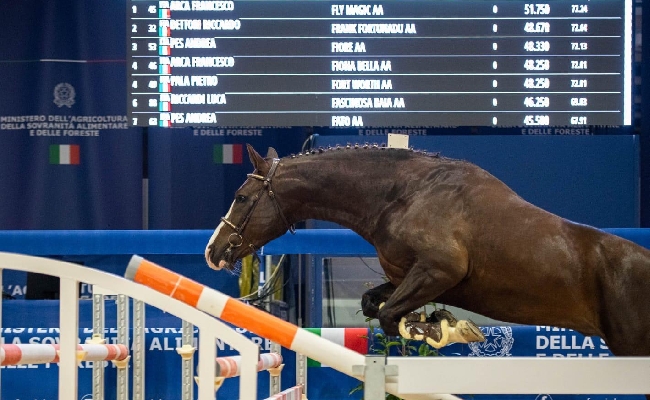 Fieracavalli: grande festa di pubblico per le finali del circuito Masaf