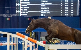 Fieracavalli: grande festa di pubblico per le finali del circuito Masaf