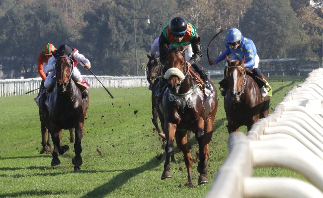 Ippica sabato spettacolare di galoppo all'Ippodromo Snai San Siro con una corsa di gruppo due Listed e una Super Condizionata per il Premio Berardelli il Criterium Femminile il Rumon e il Falck