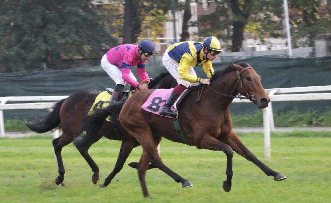 la nebbia ferma le ultime due corse del sabato di galoppo all’ippodromo snai san siro ma non hanting che vince l’edizione milanese del berardelli. sigilli di fast spirit e lao tzu nel criterium femminile e nel rumon. il falck è di taany