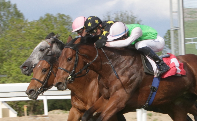 all’ippodromo snai san siro gran premio vince la prova centrale del venerdì di trotto. go big effe si rifà nella condizionata per il premio sugar rey