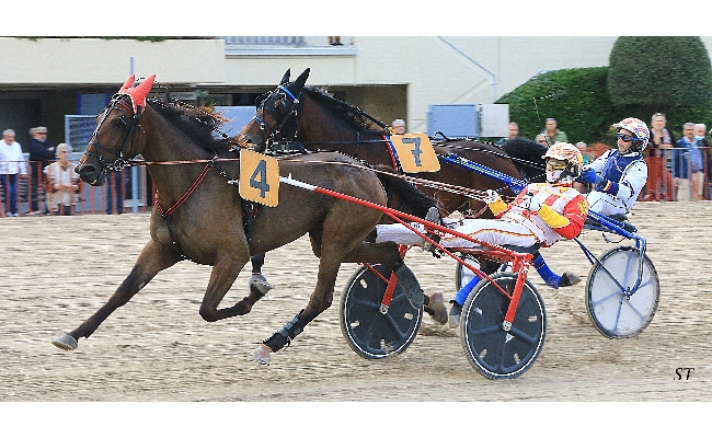 Elton Wise vince il Due Torri Bellamente e Godiva Doc promossi alla finale del Palio dei Proprietari