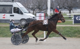 Ippica all'Ippodromo Snai San Siro di Milano Glamour Queen festeggia bene il sabato di Sant'Ambrogio dominando il Premio Offen LB