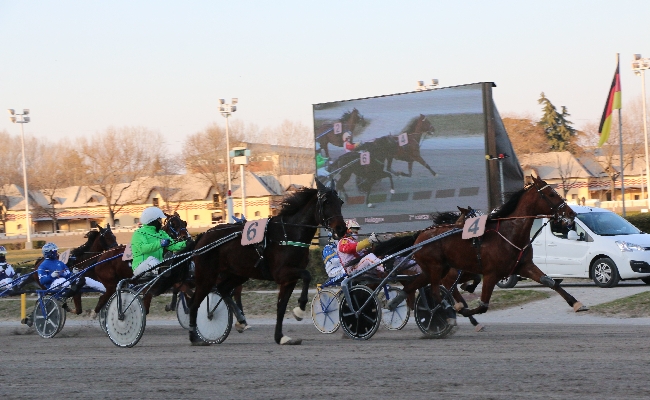 ippodromo arcoveggiogiovedì 12 dicembre grandi firme e TQQ