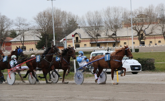 Ippica ippodromo Bologna: giovedì 19 dicembre Isibetpro tiene a battesimo le otto corse dell’Arcoveggio in chiusura la TQQ