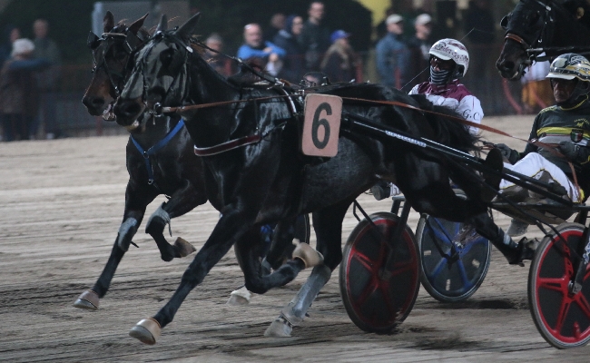 Ippica Ippodromo Arcoveggio Bologna: Domenica 22 dicembre le Finali dei Tornei “Croce Rossa Italiana” e “Gentlemen 4 Life”