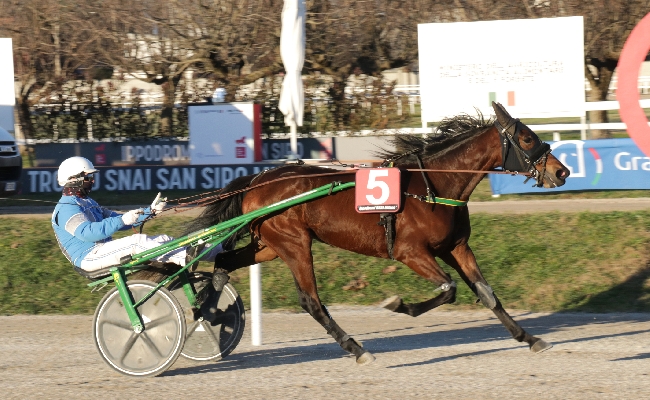 Ippica all'Ippodromo Snai di San Siro sabato con al centro il Trofeo Obiettivo Casa che ha visto protagonista Dream Breed. Il 28 ultima giornata di trotto del 2024.