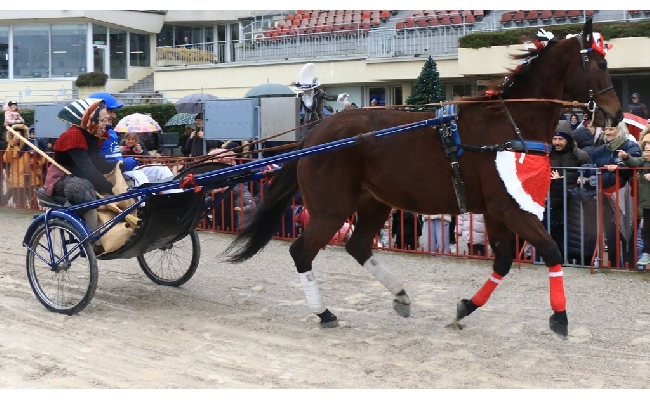 Ippica Ippodromo Arcoveggio di Bologna: lunedì 6 gennaio il Gran Premio della Vittoria Isibetpro e la Grande Festa della Befana