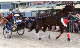 Ippica Betflag: il 6 gennaio all'Arcoveggio di Bologna in scena il Gran Premio della Vittoria