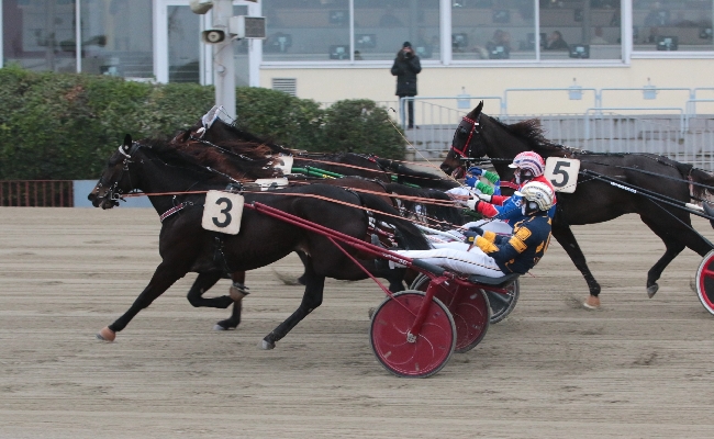 Ippica Ippodromo Arcoveggio di Bologna: domenica 12 gennaio sette corse con inizio alle 14:20 