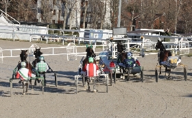 Il mercoledì di trotto all'Ippodromo Snai San Siro di Milano propone sette corse a partire dalle 14:40 e con al centro il Premio Dorsten e il trotto montato