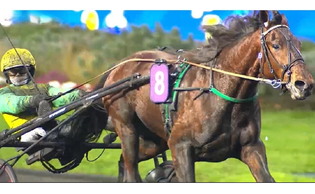 Ippica. Trotto italiano trionfa al Prix Ourasi a Vincennes a Parigi