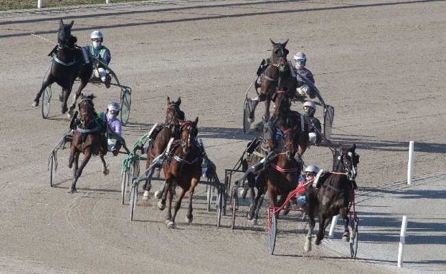 Ippica all'Ippodromo Snai San Siro una domenica di grande trotto con il Gran Premio Locatelli e divertimento per i bambini con ben tre aree giochi