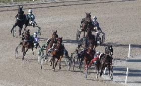 Ippica all'Ippodromo Snai San Siro una domenica di grande trotto con il Gran Premio Locatelli e divertimento per i bambini con ben tre aree giochi