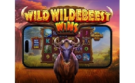 PRAGMATIC PLAY WILD WILDEBEEST WINS IN ESCLUSIVA SU ADMIRAL GROUP