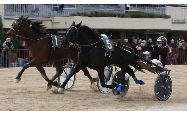 Ippica Ippodromo Bologna Arcoveggio: giovedì 6 marzo con Amazzoni e Tris Quarté Quinté