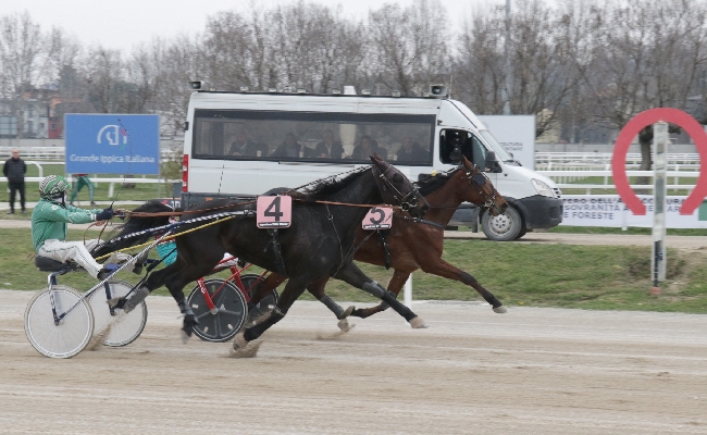 Ippica la domenica di trotto all'ippodromo Snai San Siro: Dauphin Joyeuse con un finale ad effetto fa suo il premio Sky Dancer