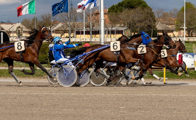 Ippica all’ippodromo di Bologna giovedì 13 marzo un bel centrale sulla pista dell’Arcoveggio e altre sette corse