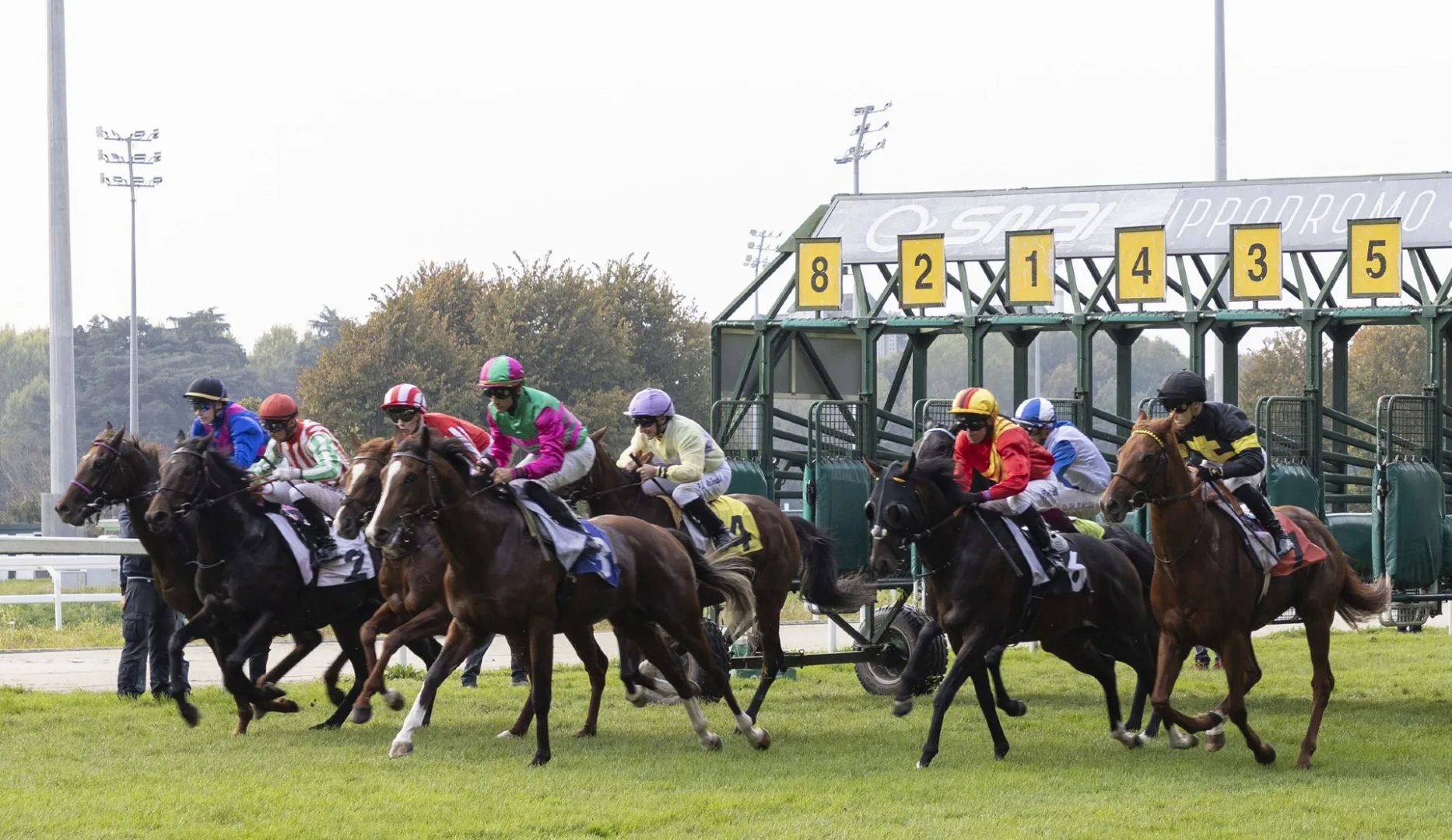 Ippica, sabato di galoppo all’Ippodromo Snai San Siro: in pista sette corse a partire dalle ore 15