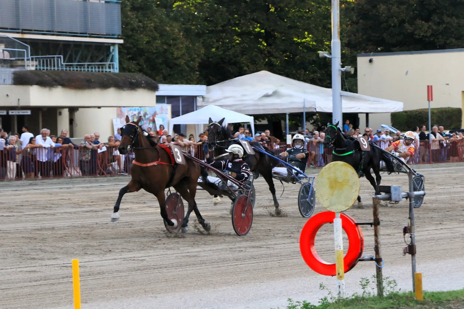 Ippica, Gran Premio Continentale: a Bologna un pomeriggio di corse, eventi per famiglie e iniziative per il pubblico