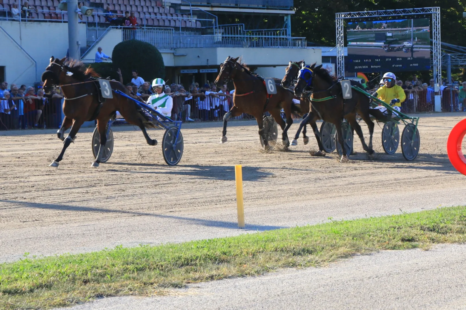Ippica, Ippodromo di Bologna: Alessandro Gocciadoro firma il suo quinto Continentale con Giotto Ek. A Goggia il Filly con nuovo record della corsa