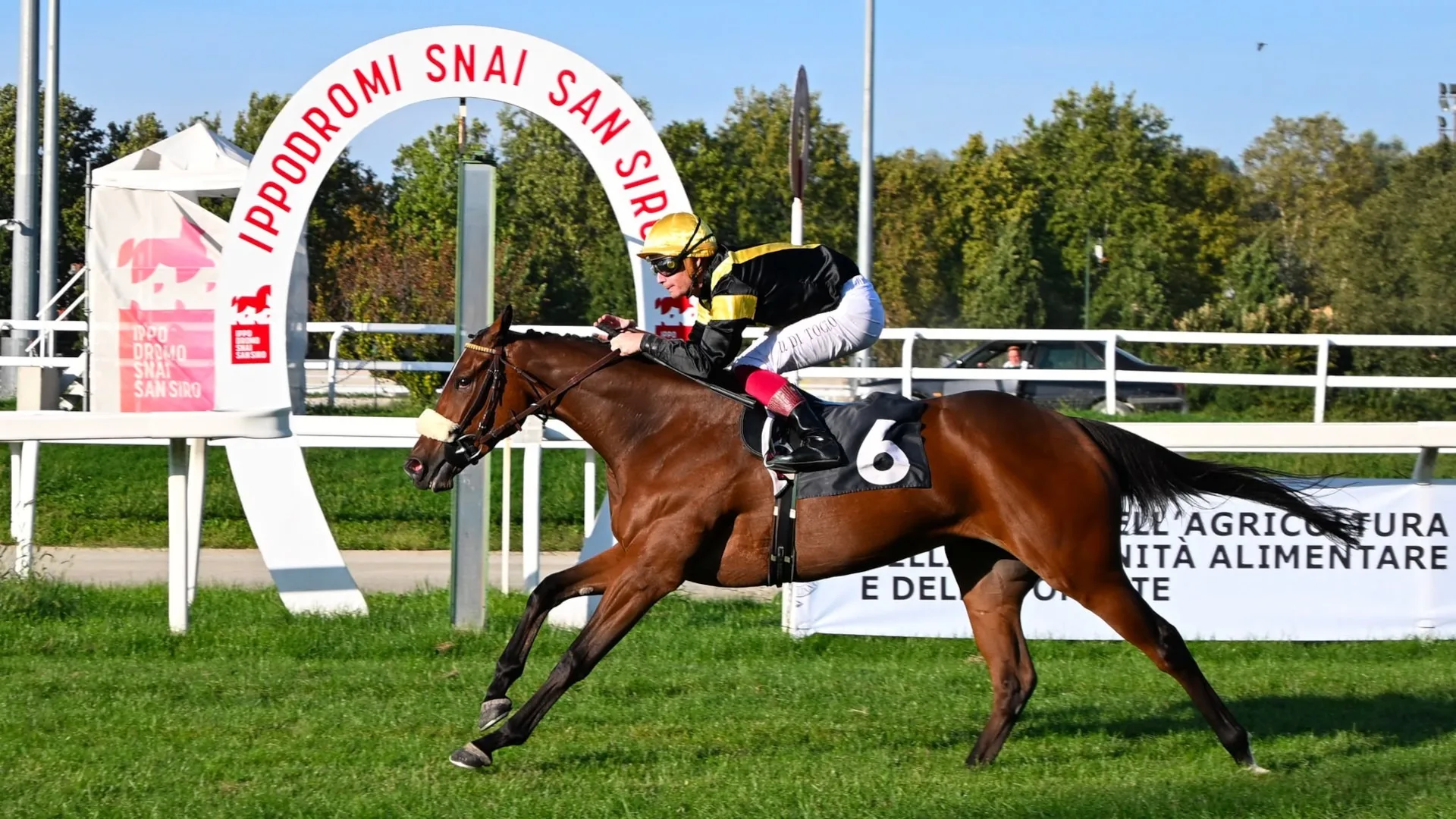 Ippica, Ippodromo Snai San Siro: giovedì di galoppo con Minzova d’autorità nel Premio Coolmore, mentre Niente Scuse non tradisce nel Vittorio Riva