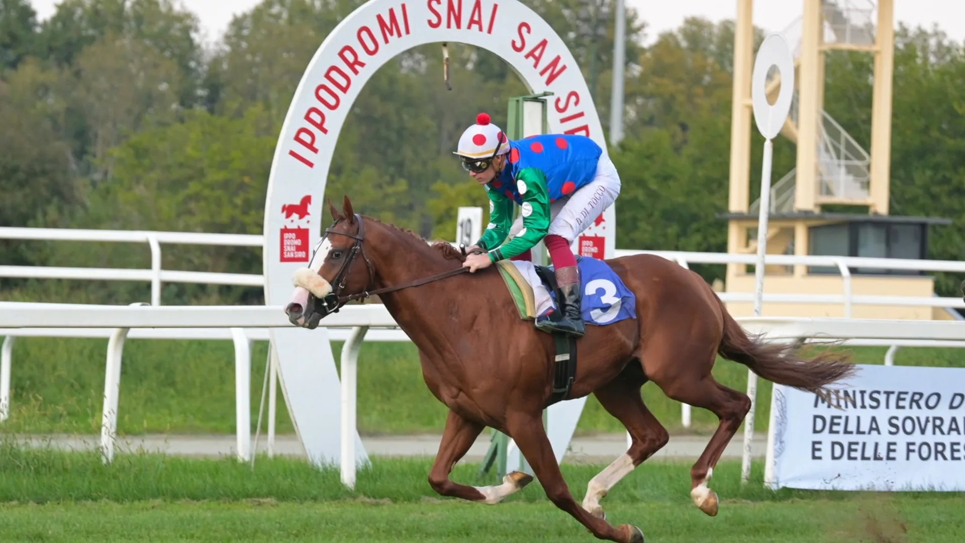 Ippica, Ippodromo Snai San Siro: Dream Sea vince la condizionata per i 2 anni del premio Dormelletto