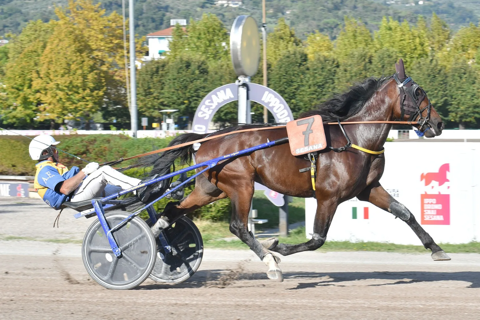 Ippica: nel venerdì all’Ippodromo Snai Sesana, Lisette del Ronco vince il Premio Lisa America. Bell’esordio anche per Levante Baba