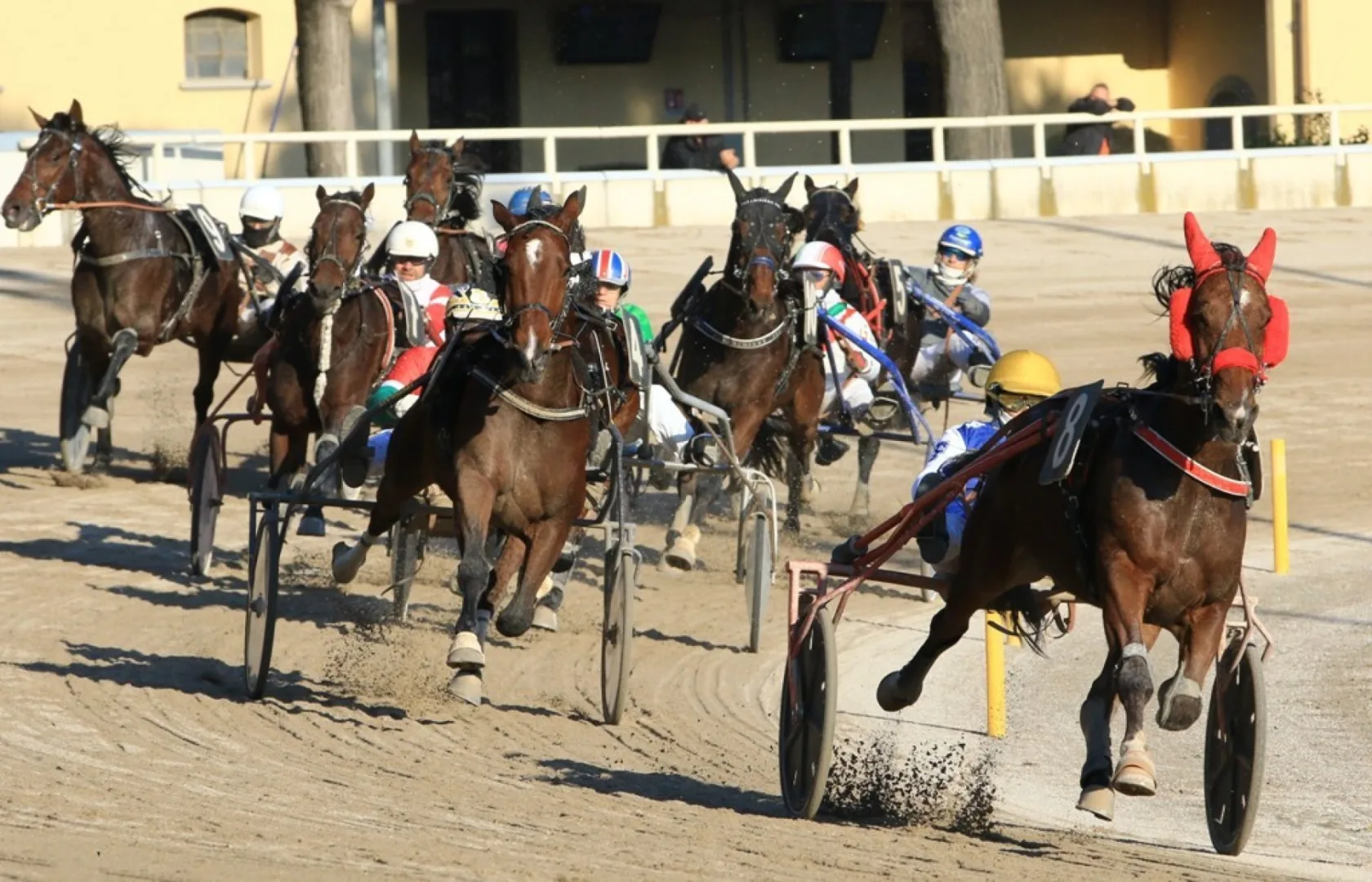 Ippica, Ippodromo di Bologna: giovedì 15 ottobre, nove corse dalle 15:10 e la novità del trotto montato